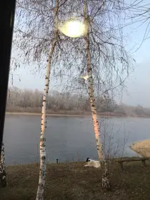 Аренда земли 2 га на три года