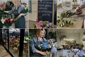 Коллаборация