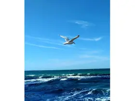 Отдых в Крыму