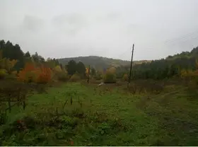 Участок в экопоселении Малая Тара в Горном Алтае.